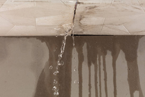 Professional Sewage Cleanup technician working in Vanderpool, TX